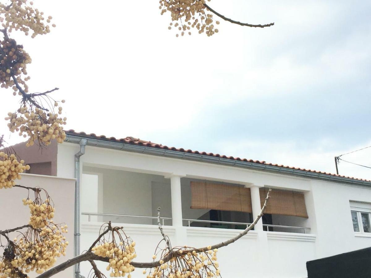 Apartament Apartman Luce Bibinje Zewnętrze zdjęcie